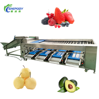 Sorteermachine voor Shepody Blueberry mango's, Cherry Tomaten, Uien, Fruit, Appels, Citrusvruchten, Avocado's en ander fruit.