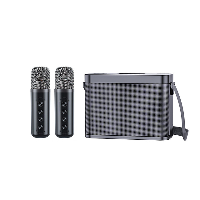 YS-209 Portable Outdoor Party Karaoke Speaker with Double Microphones Home KTV Wireless Subwoofer for Better Audio Experience