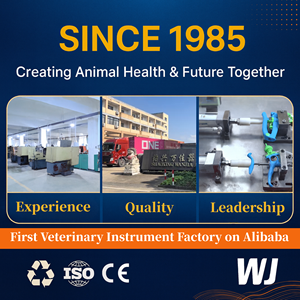 WANJIA Tierwaage Elektronische Großplattform-Bodenwaage für Haustiere, Nutztiere, Tierkliniken und Landwirtschaft - Product Image 5