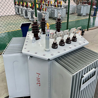 Transformador de Distribución Trifásico Sumergido en Aceite de 50kVA-1500kVA, 6.6kV/11kV/400V a 380V, ONAN/ONAF, 50/60Hz