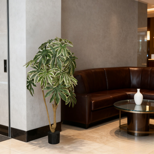 Árbol Artificial de Aralia Japonesa de 120 cm, de Nifloral, Superventas, Realista y Elegante, Planta Artificial en Maceta para Interiores - Product Image 6