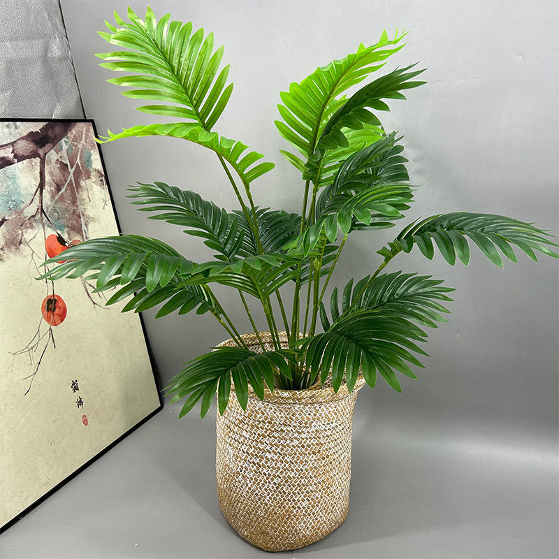 Feuille de palmier à 18 têtes (sans pot)