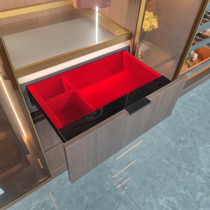 Cassaforte a Muro Nascosta per Armadio RMS con <span class=keywords><strong>Serratura</strong></span> a Impronta Digitale per Gioielli - Product Image 6