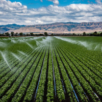 Irrigation horticole automatique matériel de serre système d'irrigation de ferme kits d'irrigation de jardin domestique arroseurs de brouillard