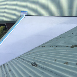 Recubrimiento Líquido de Poliurea Monocomponente Resistente a los Rayos UV de Alta Calidad para Barcos <span class=keywords><strong>y</strong></span> Muebles, Venta al Por Mayor de Fábrica - Product Image 6