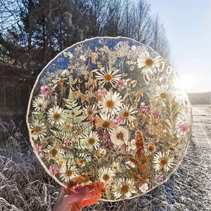 YS 12 pièces/sac séché vraies fleurs naturelles conservées pour bijoux en résine pressé aromathérapie Marguerite De <span class=keywords><strong>Valois</strong></span> plante carte bricolage Art - Product Image 4