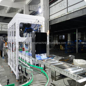 Robot de palettisation industriel à portique pour sacs de 20 kg, cartons et fûts, avec fonction d'étiquetage de palettes - Product Image 3