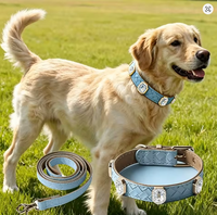 Ensemble collier et laisse pour chiot en cuir PU tressé orné de strass transparents de luxe, boucle métallique réglable, pour petits chiens