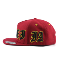 Gorra Deportiva Snapback de 5 Paneles Personalizada al por Mayor, de Alta Calidad, con Visera Plana y Logotipo Bordado en 3D
