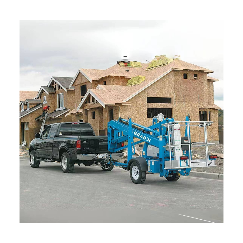 Most Reliable 1000kg Loading Capacity Mini