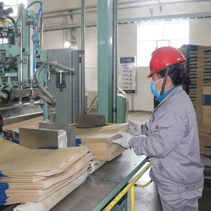 हैलोंग फैक्ट्री प्रत्यक्ष पॉलीविनाइल क्लोराइड उच्च गुणवत्ता सस्ती कीमत पीवीसी राल एसजी5 के67 - Product Image 4