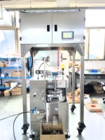Machine de remplissage et d'emballage automatique à 4 balances électroniques Pyramide Sachet à base de plantes pour thé vert avec étiquette Triangle Feuilles de thé Sachet