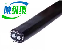 Cables de Alimentación para Construcción de 0.6/1KV, 2*8AWG, Conductor de Aleación de Aluminio 8000, Cable Concéntrico, Aislamiento XLPE, Cubierta de PVC, 6mm DE, Simple
