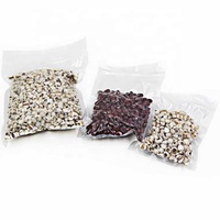Sac Sous Vide Prédécoupé Brillant et Transparent en PA/Nylon Thermoscellable pour Emballage Alimentaire, Utilisation Machine à Cloche