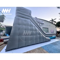 Toboggan aquatique gonflable géant en PVC Aloha Splash - Double piste, style dragon personnalisé, utilisation extérieure, capacité 500 kg, pour jardin