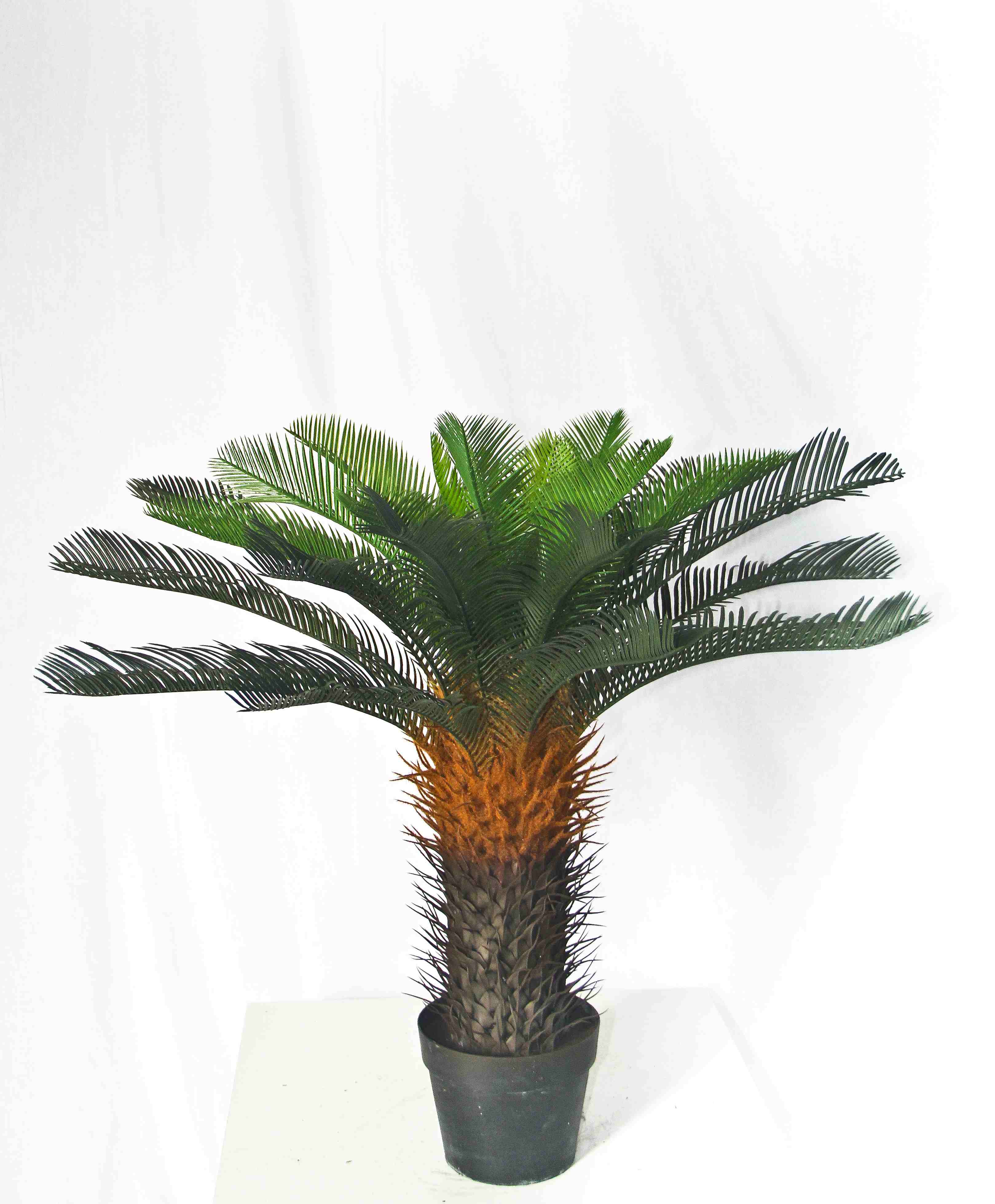 faux palmetto