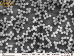 ไมโครสเฟียร์กลุ่มคาร์บอกซิล ที่มีการกระจายตัวดีเยี่ยมสำหรับการวิจัยในห้องปฏิบัติการและการตรวจวินิจฉัย - Product Image 6