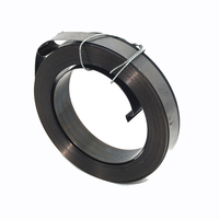Prix d'usine Nouveau design Ressort spiralé rétractable Feuille plate en métal en acier inoxydable Utilisation industrielle Ressort hélicoïdal de puissance de haute qualité