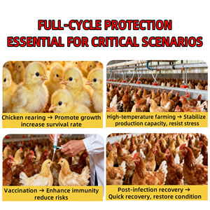 Supplément de volaille en cage Golden Vitasol empêche le supplément enzymatique de manque de nutriments induit par la lumière - Product Image 5