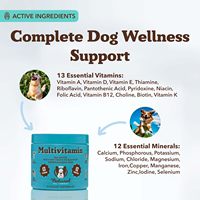 Multivitamines en comprimés à mâcher pour chiens, marque privée, 25-en-1, complément alimentaire pour animaux de compagnie, soutien immunitaire, foie, articulations, peau, santé digestive, vitamines