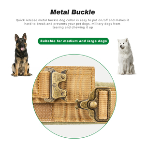 Collier et laisse à boucle métallique pour gros chiens, entraînement tactique et épais, vente en gros - Product Image 6