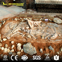 Réplique de fossile de dinosaure Protoceratops et Velociraptor