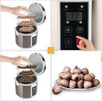 AZK-186-3 6L Fermenteur automatique domestique pour ail noir, pot de fermentation pour ail noir