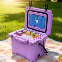 Glacière portable moderne rotomoulée avec poignée robuste - Capacité 17QT, maintien de la glace pendant 5 jours pour le camping, les voyages en voiture, la pêche