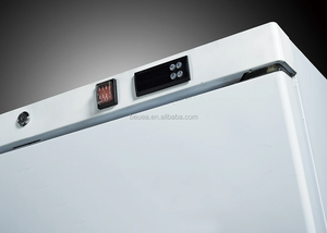 Venta Industrial 200L Refrigerador de nevera de acero inoxidable Mini <span class=keywords><strong>Frigo</strong></span> <span class=keywords><strong>Congelador</strong></span> <span class=keywords><strong>pequeño</strong></span> - Product Image 4