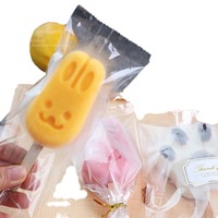 Sac d'emballage de Popsicle biodégradable de qualité alimentaire en plastique souple surface brillante processus de moulage par soufflage étanche forte étanchéité