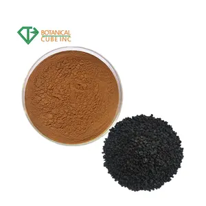 Pure natural Allium Tuberosum Chinese Chive Seed Extract 10:1 Leek Seed Extract powder