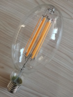 2025 grande taille 30W 40W haute puissance Led Filament ampoule ED90 ED118 Dimmable ampoule 1200 Lumens épais Filament E40 douille lumière