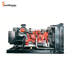 Groupe électrogène diesel professionnel personnalisable avec alternateur sans balais 275KW 300KVA 325KW 355KVA et télécommande - Product Image 1