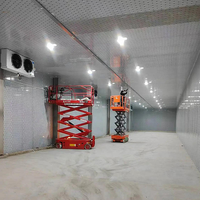Chambre froide de grande taille pour le stockage de fruits et légumes, chambre froide de plain-pied, congélateur, chambre froide de stockage