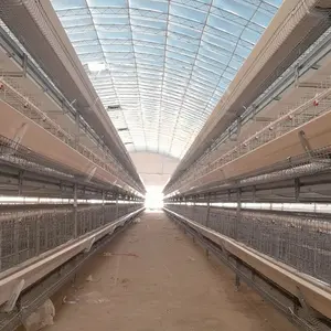 Automatic Egg Laying Hens A Type Chicken Poultry Layer Cage With Feeders And Drinker