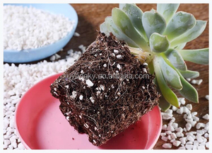 Les usines chinoises vendent de la <span class=keywords><strong>vermiculite</strong></span> pour faire pousser des <span class=keywords><strong>semis</strong></span>, éclore des œufs et améliorer le sol - Product Image 5