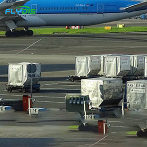 Топ-10 логистических услуг Lcl Express UPS <span class=keywords><strong>DHL</strong></span> Fcl морские перевозки, экспедитор, Китай, Филиппины, Канада, Австралия, Польша - Product Image 2