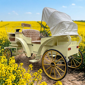 Voiture électrique de tourisme de haute qualité, style carrosse de mariage classique royal, prix spécial, transport spécial - Product Image 1