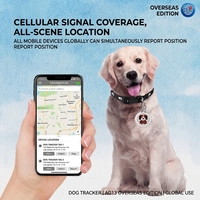 Traceur GPS double système pour animaux de compagnie, dispositif anti-perte Bluetooth pour chiens et chats, suivi en temps réel Android iOS