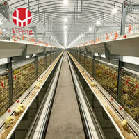 Système de cages à poulets de chair type H, cage à poulets de chair avec alimentation et abreuvement automatiques, bande de fumier, sol en plastique à lattes, 4 niveaux, vente en gros