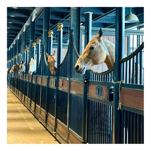 Establos Europeos de Lujo Personalizados, Box para Caballos de Acero Galvanizado en Caliente con Puerta Abatible para Club Ecuestre, Rancho, Granja - Product Image 1