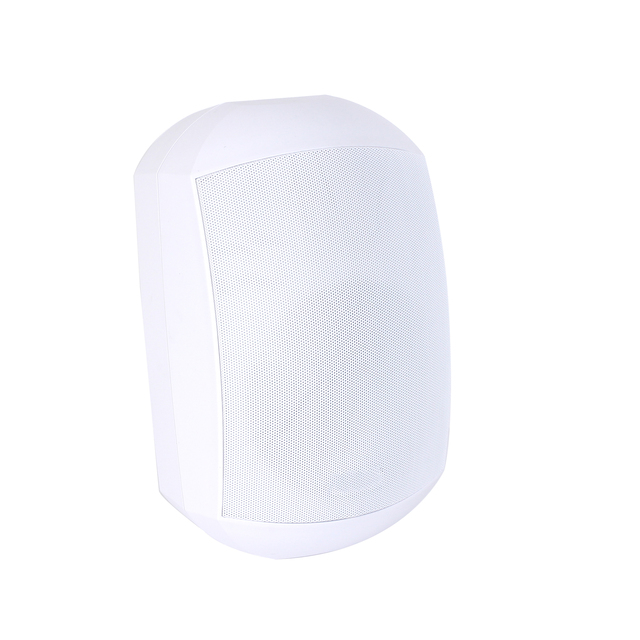 V Wall Mount Speaker for Indoor Outdoor IP66 Waterproof 2 Way PP Enclosure Rotatable Wall Mount Speaker
