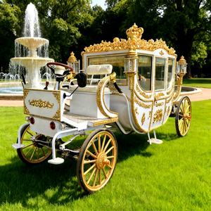 Calèche électrique royale traditionnelle pour le tourisme, de haute qualité, élégante, capacité 6 personnes, sièges en cuir souple - Product Image 1