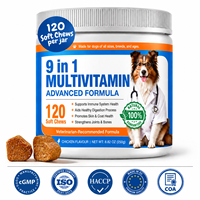 Complément alimentaire pour chien 9-en-1 sous marque blanche – Bouchées tendres saveur poulet pour le soutien immunitaire, digestif, cutané et pelliculaire – Fabricant OEM