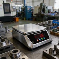 Industriële roestvrijstalen weegschaal 6kg waterdichte digitale weegmachine met dubbele LED-display