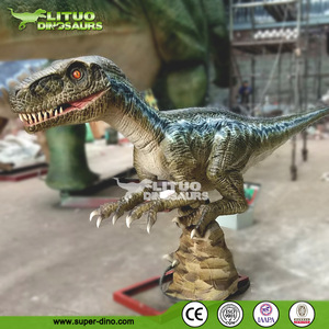 Vélociraptor grandeur nature - Product Image 6
