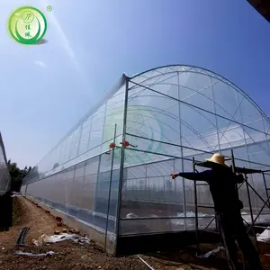 environmentally pc sheet greenhouse tunnel agricultural greenhouses manufacturing