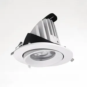 豪华室内照明嵌入式眼球发光二极管Ceil筒灯，压铸铝和金属其他外壳筒灯聚光灯