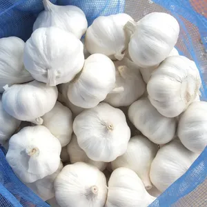 Biji Bawang Putih China, Diskon 5% untuk Perusahaan Sayuran dan Buah Segar