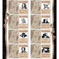 Cartes à collectionner d'anime DM One Piece - Jeu de société portable en papier pour les fans et les combats